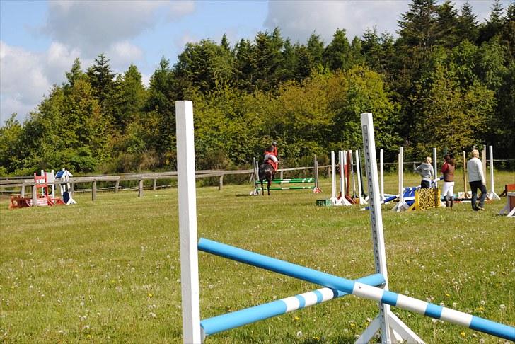 Aaskov rideklub!! billede 36