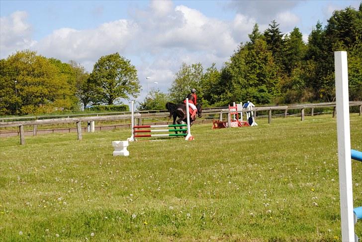 Aaskov rideklub!! billede 37