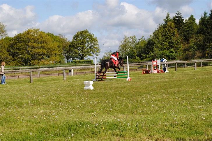 Aaskov rideklub!! billede 38