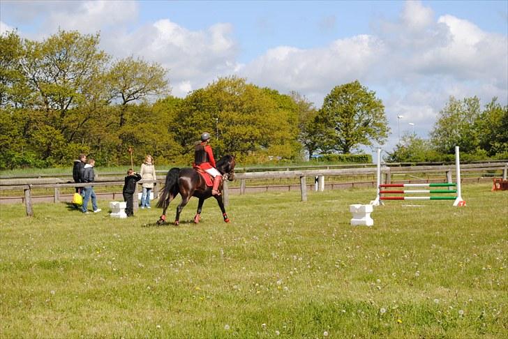 Aaskov rideklub!! billede 39