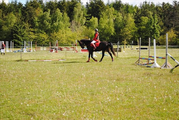 Aaskov rideklub!! billede 40