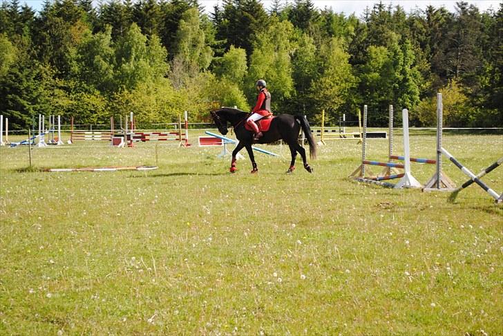 Aaskov rideklub!! billede 41