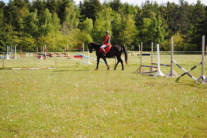 Aaskov rideklub!! billede 42