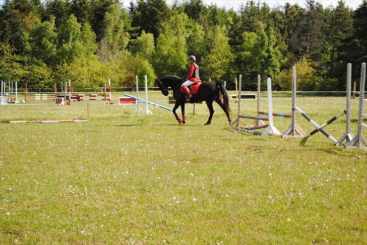 Aaskov rideklub!! billede 43