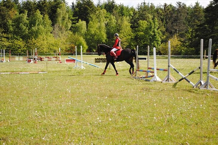 Aaskov rideklub!! billede 44