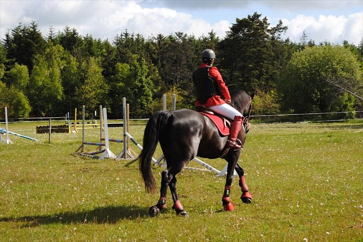 Aaskov rideklub!! billede 45