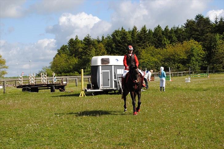 Aaskov rideklub!! billede 46