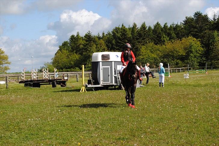 Aaskov rideklub!! billede 48