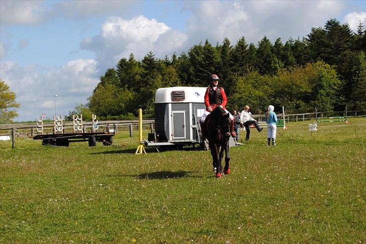 Aaskov rideklub!! billede 49