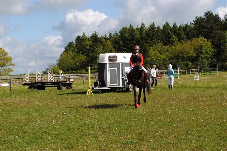 Aaskov rideklub!! billede 50