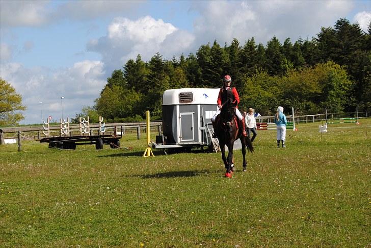 Aaskov rideklub!! billede 51