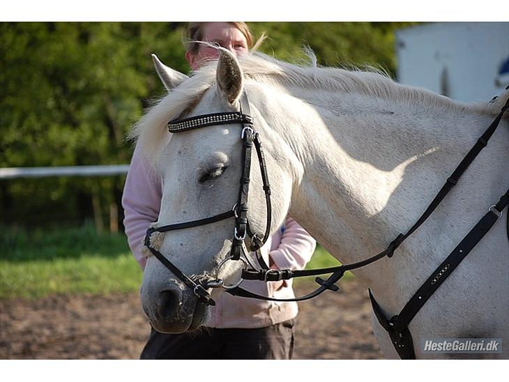 {{currentPhoto.altText}} billede {{currentPhoto.number}}