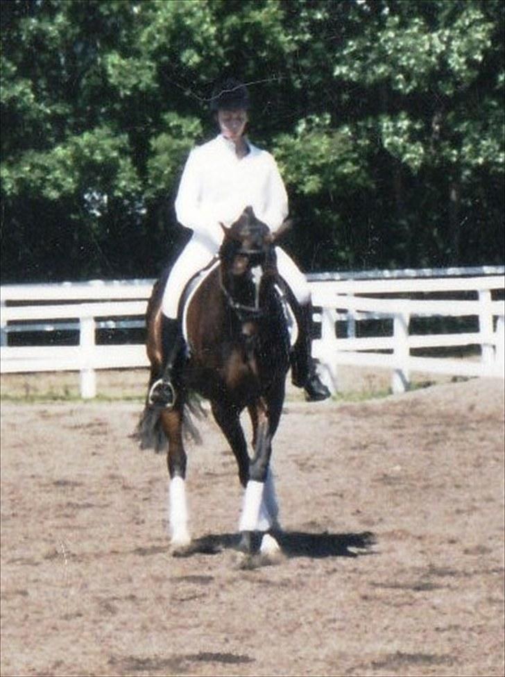 Billeder af Gips gennem tiderne billede 1