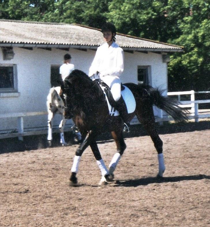 Billeder af Gips gennem tiderne billede 2