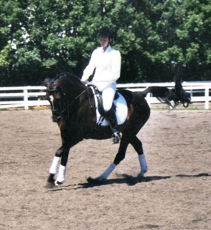 Billeder af Gips gennem tiderne billede 3