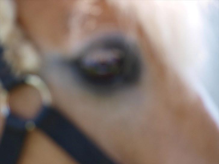 Sydjysk rideklub, rødekro - anne og lucky(: billede 15