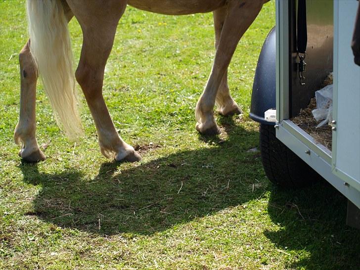 Sydjysk rideklub, rødekro - anne og lucky(: billede 17