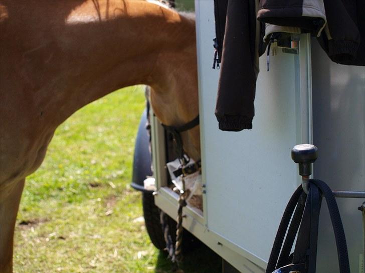 Sydjysk rideklub, rødekro - anne og lucky(: billede 21