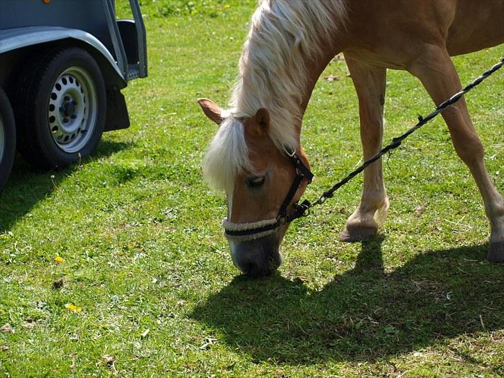 Sydjysk rideklub, rødekro - anne og lucky(: billede 29
