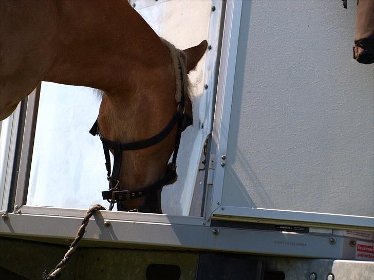 Sydjysk rideklub, rødekro - anne og lucky(: billede 36