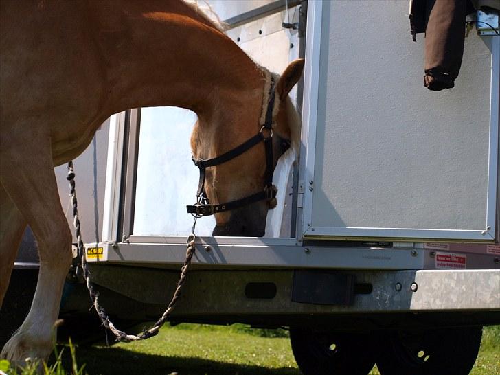 Sydjysk rideklub, rødekro - anne og lucky(: billede 37
