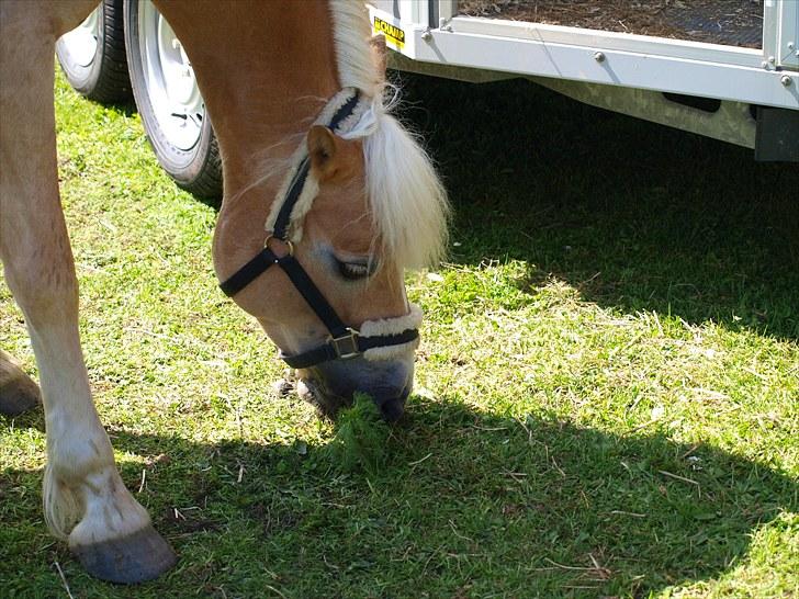 Sydjysk rideklub, rødekro - anne og lucky(: billede 43