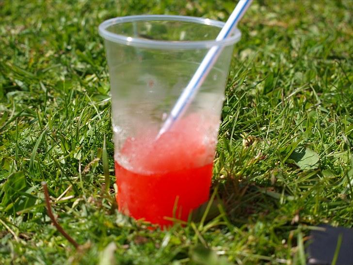 Sydjysk rideklub, rødekro - anne og lucky(: billede 71