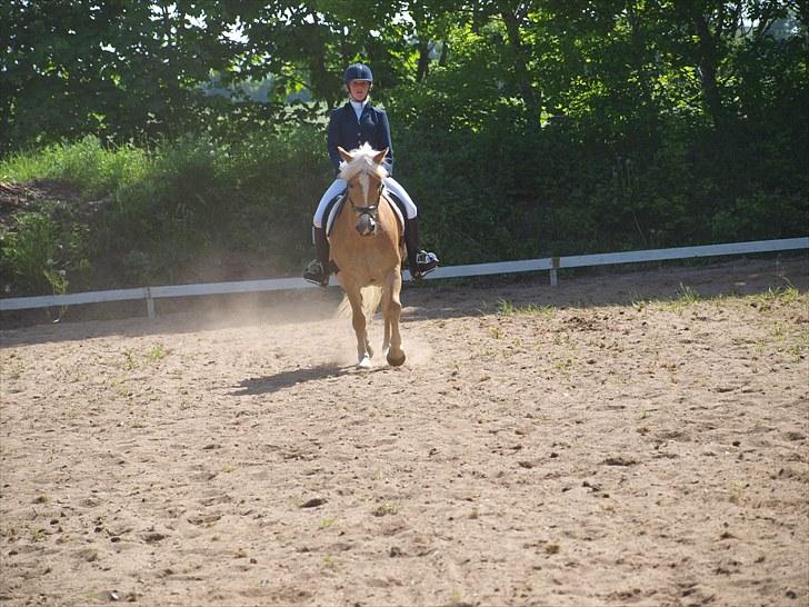 Sydjysk rideklub, rødekro - anne og lucky(: billede 75
