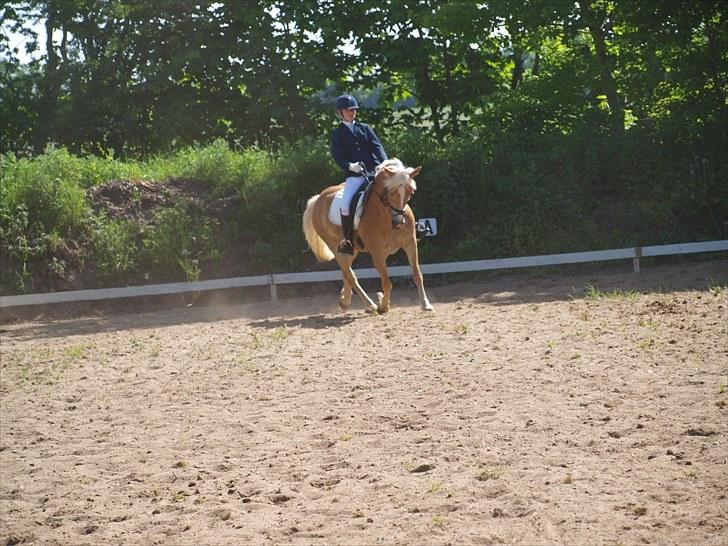 Sydjysk rideklub, rødekro - anne og lucky(: billede 76