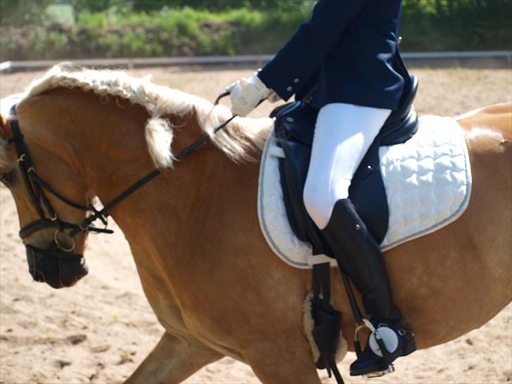 Sydjysk rideklub, rødekro - anne og lucky(: billede 77