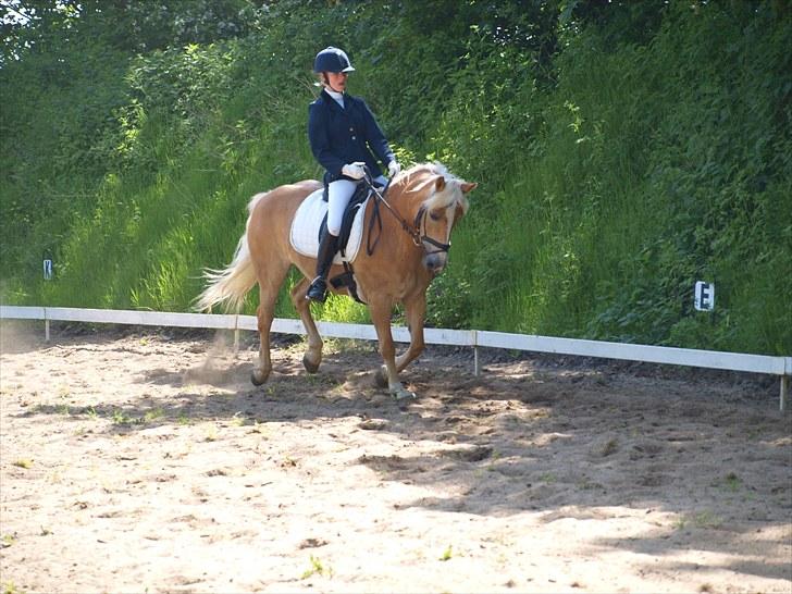 Sydjysk rideklub, rødekro - anne og lucky(: billede 78