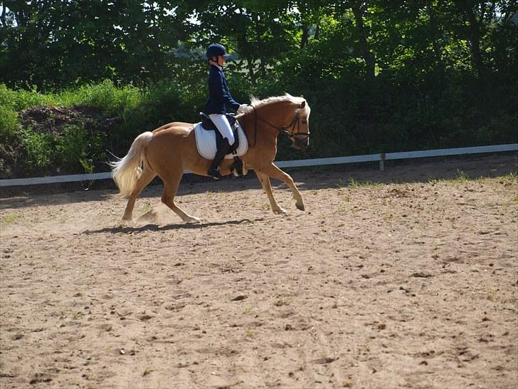 Sydjysk rideklub, rødekro - anne og lucky(: billede 79