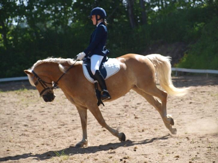 Sydjysk rideklub, rødekro - anne og lucky(: billede 80