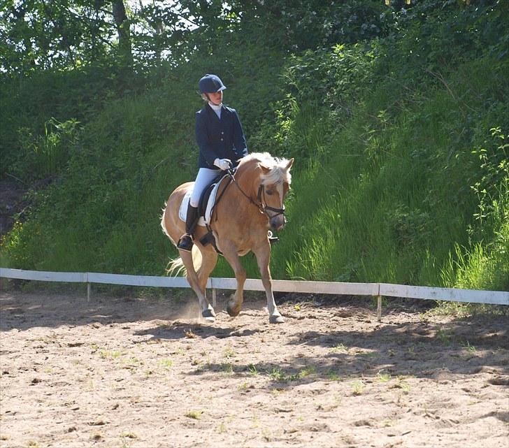 Sydjysk rideklub, rødekro - anne og lucky(: billede 81