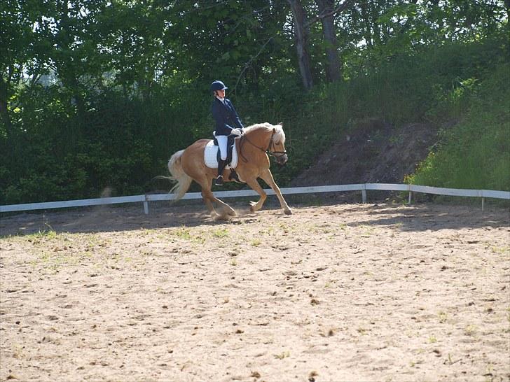 Sydjysk rideklub, rødekro - anne og lucky(: billede 82