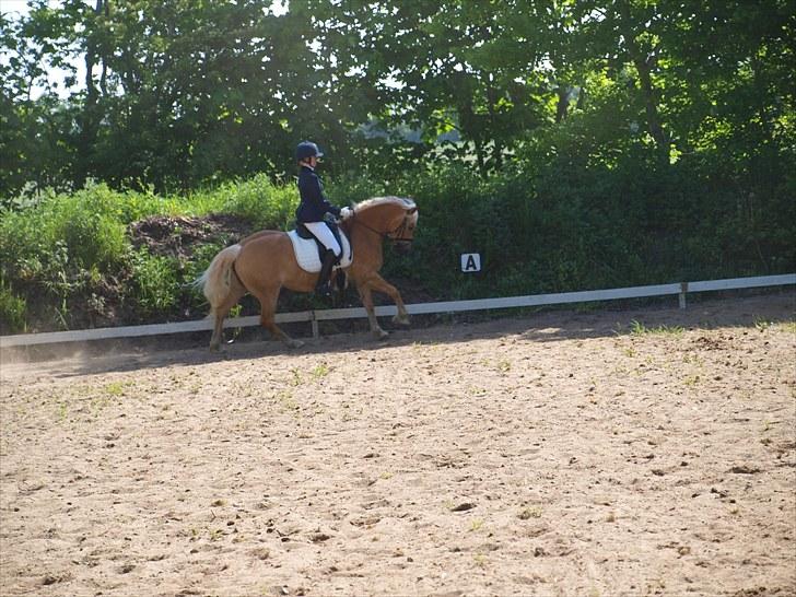 Sydjysk rideklub, rødekro - anne og lucky(: billede 83