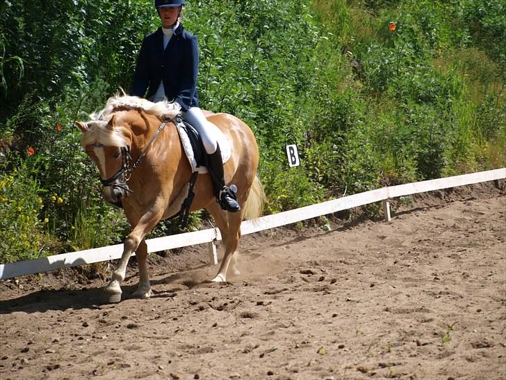 Sydjysk rideklub, rødekro - anne og lucky(: billede 85