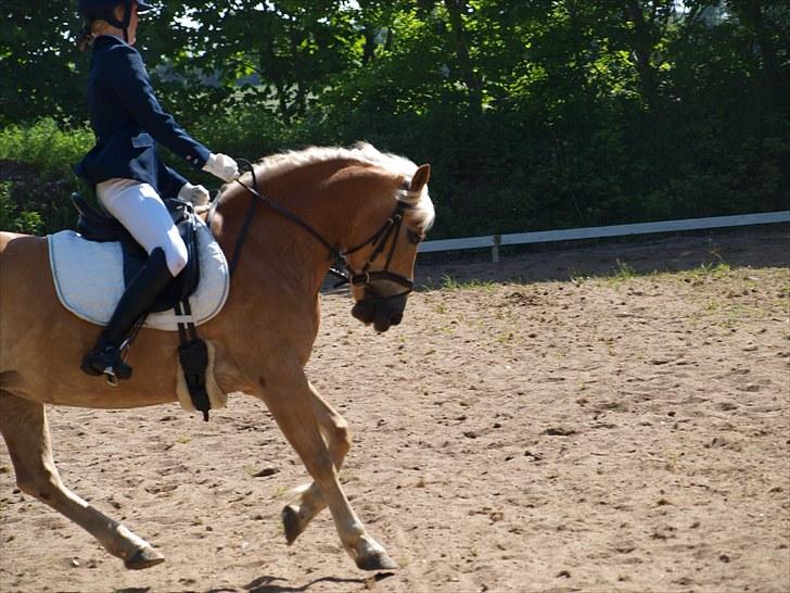 Sydjysk rideklub, rødekro - anne og lucky(: billede 87
