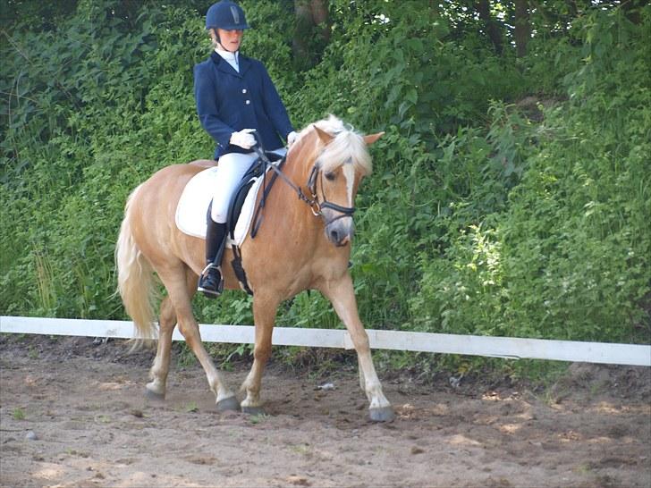 Sydjysk rideklub, rødekro - anne og lucky(: billede 88