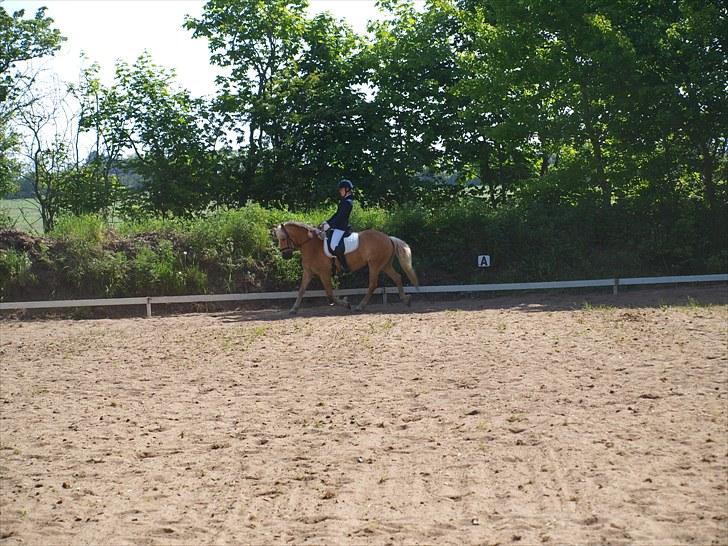 Sydjysk rideklub, rødekro - anne og lucky(: billede 90