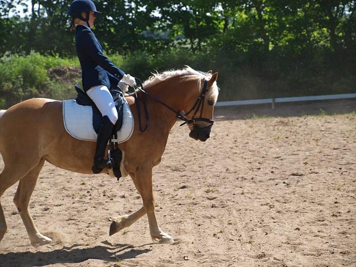 Sydjysk rideklub, rødekro - anne og lucky(: billede 91