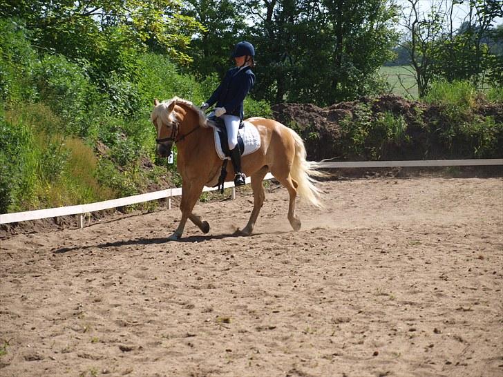 Sydjysk rideklub, rødekro - anne og lucky(: billede 92