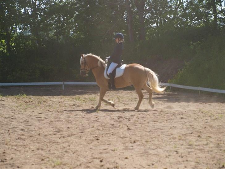 Sydjysk rideklub, rødekro - anne og lucky(: billede 93