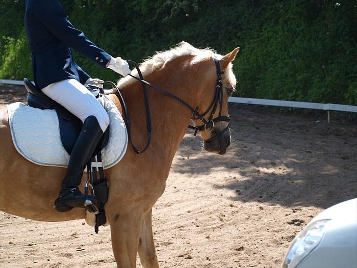 Sydjysk rideklub, rødekro - anne og lucky(: billede 94