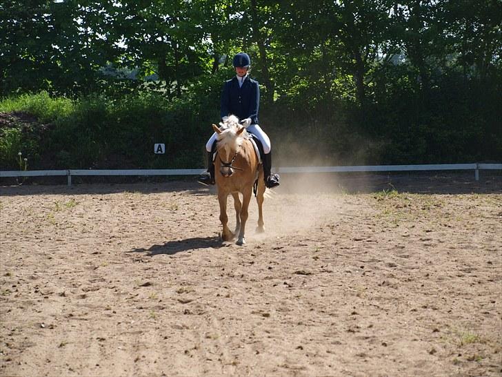 Sydjysk rideklub, rødekro - anne og lucky(: billede 95