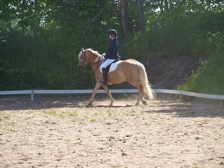 Sydjysk rideklub, rødekro - anne og lucky(: billede 96
