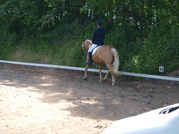 Sydjysk rideklub, rødekro - anne og lucky(: billede 97