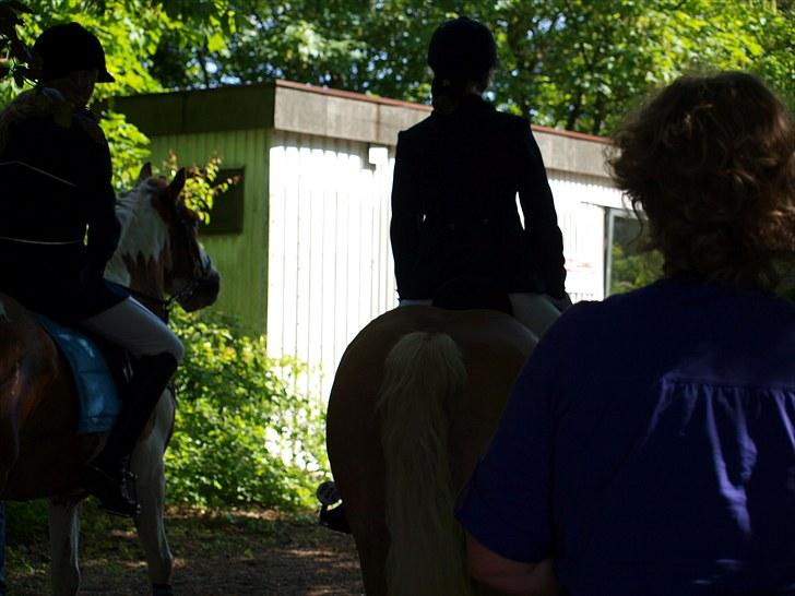 Sydjysk rideklub, rødekro - anne og lucky(: billede 98