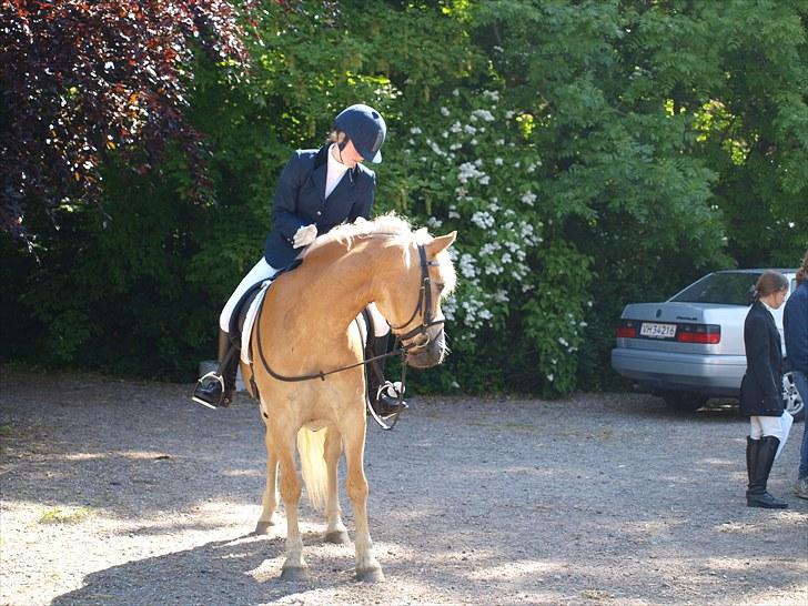 Sydjysk rideklub, rødekro - anne og lucky(: billede 99