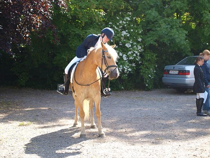 Sydjysk rideklub, rødekro - anne og lucky(: billede 100